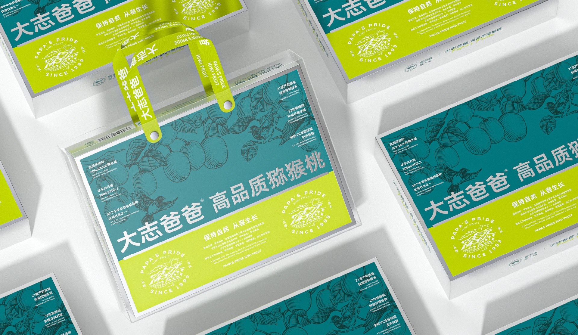 大志爸爸 · 高品质猕猴桃 包装设计图 2