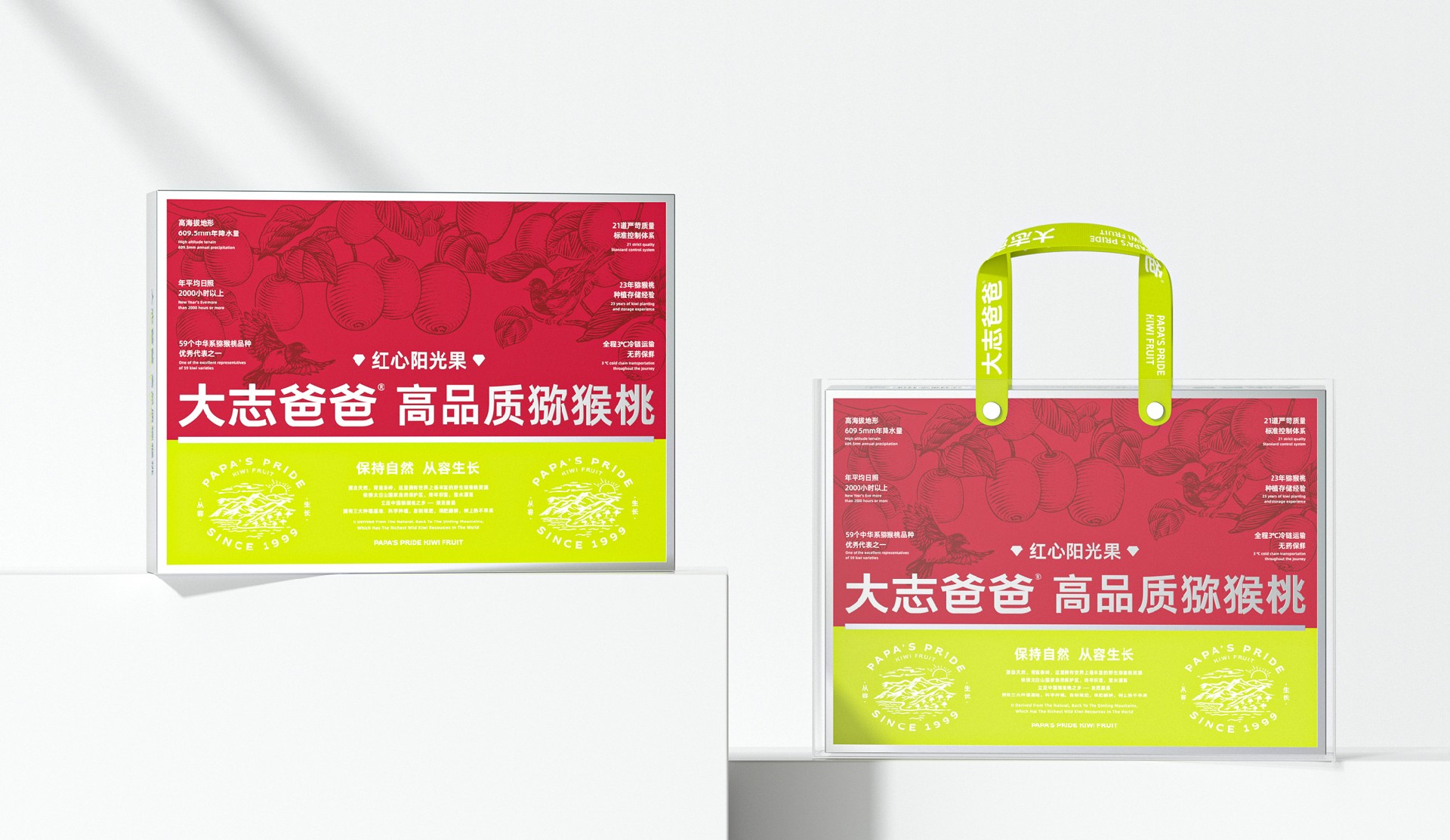 大志爸爸 · 高品质猕猴桃 包装设计图 4