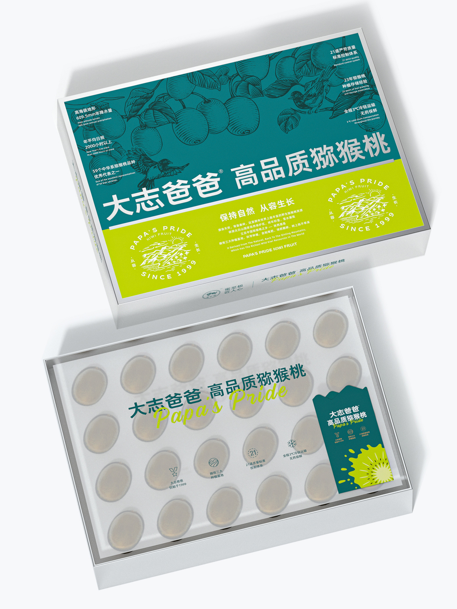 大志爸爸 · 高品质猕猴桃 包装设计图 6