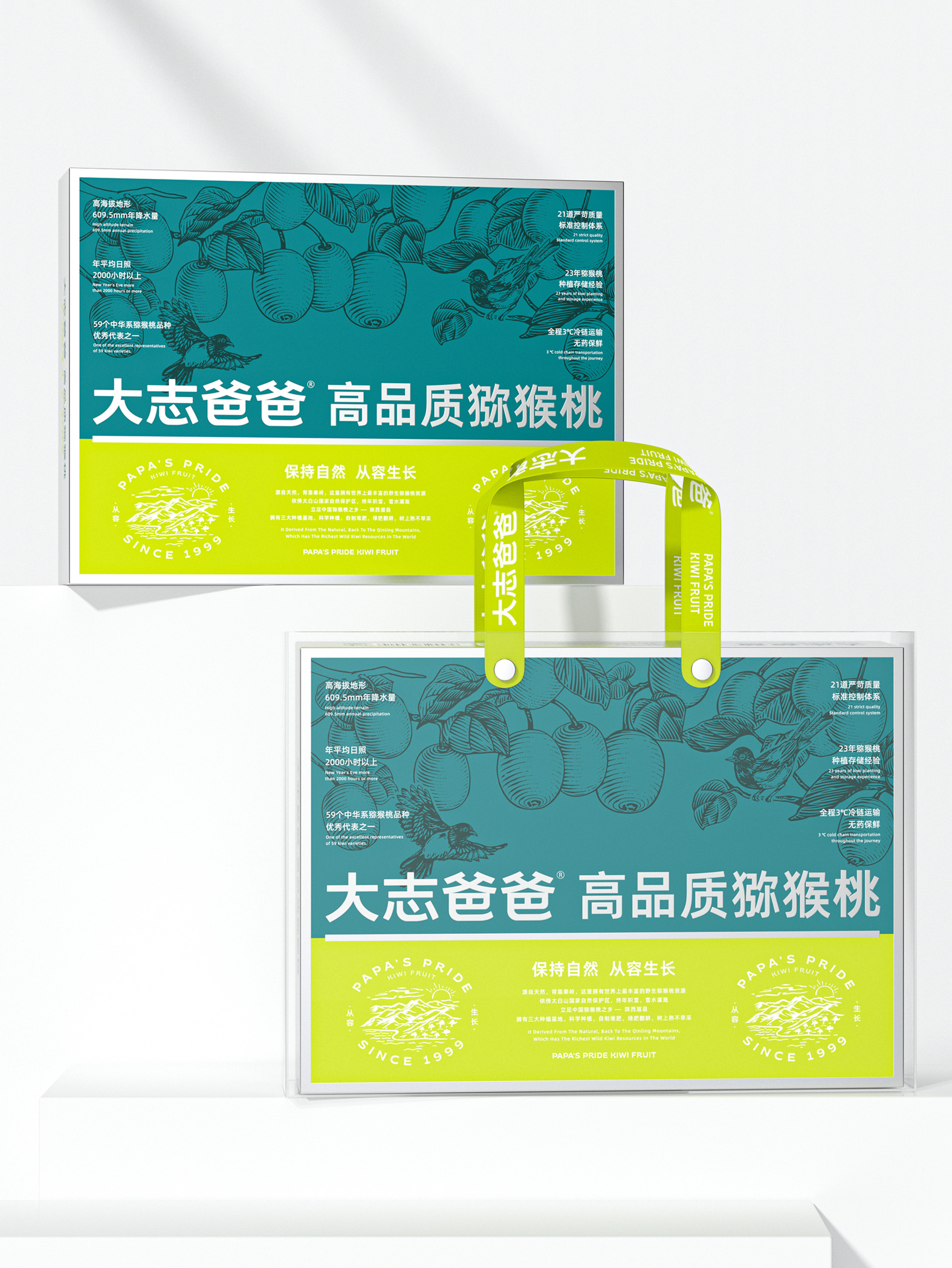 高品质猕猴桃礼盒包装 包装设计图 3