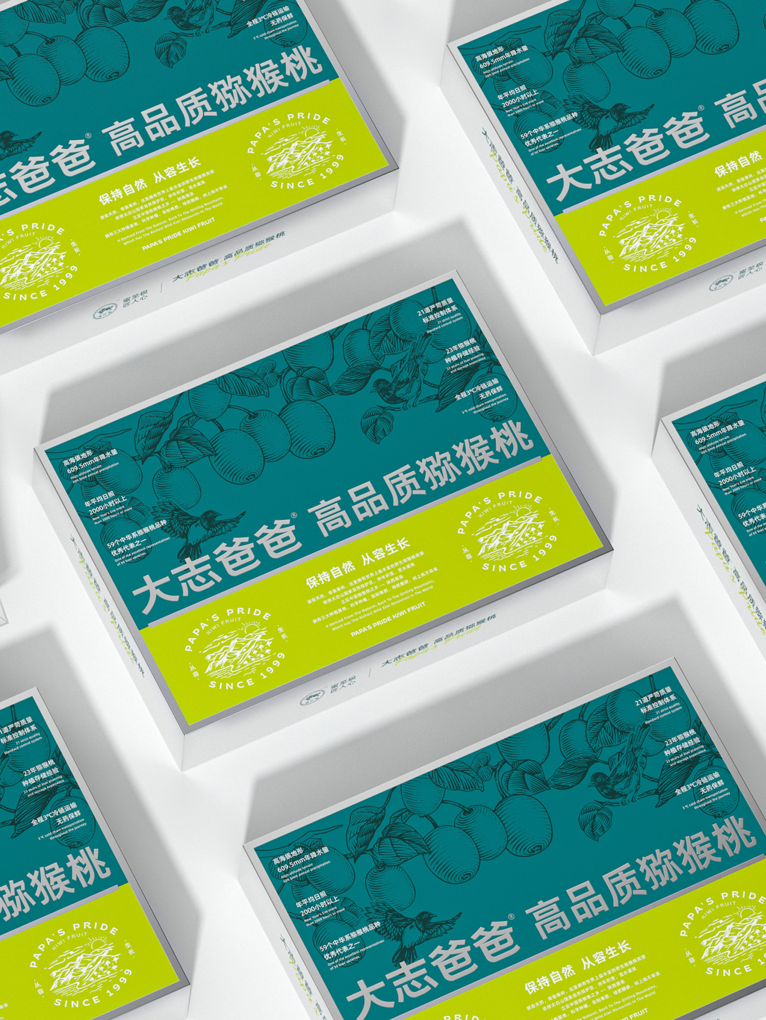高品质猕猴桃礼盒包装 包装设计图 5