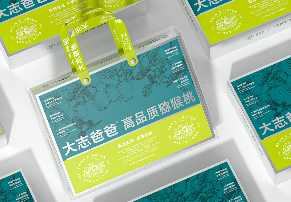 高品质猕猴桃礼盒包装